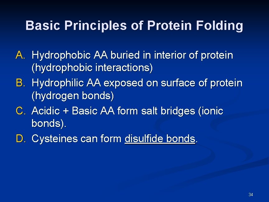 Basic Principles of Protein Folding A. Hydrophobic AA buried in interior of protein (hydrophobic Basic Principles of Protein Folding A. Hydrophobic AA buried in interior of protein (hydrophobic