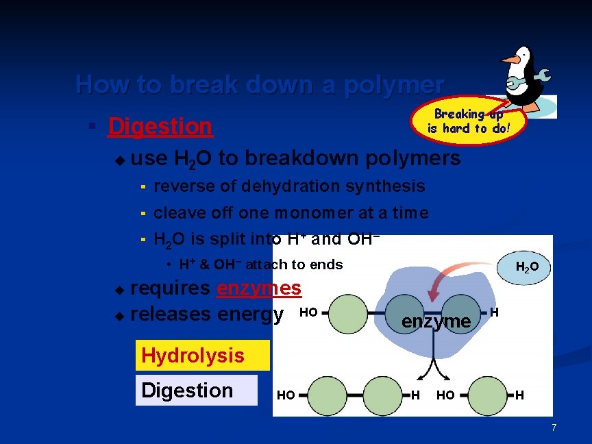 How to break down a polymer Breaking up is hard to do! ▪ Digestion How to break down a polymer Breaking up is hard to do! ▪ Digestion