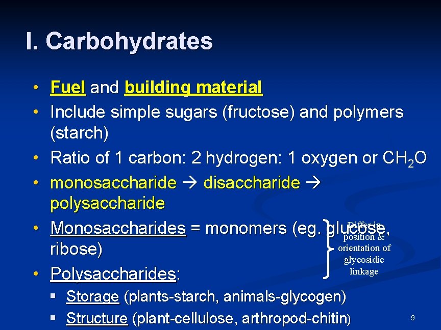 I. Carbohydrates • • • Fuel and building material Include simple sugars (fructose) and I. Carbohydrates • • • Fuel and building material Include simple sugars (fructose) and