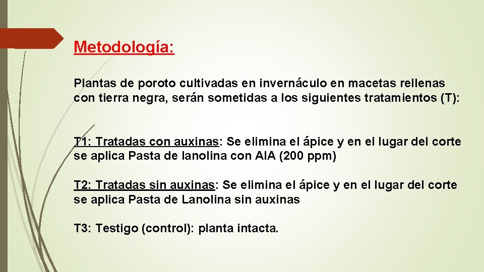 Metodología: Plantas de poroto cultivadas en invernáculo en macetas rellenas con tierra negra, serán