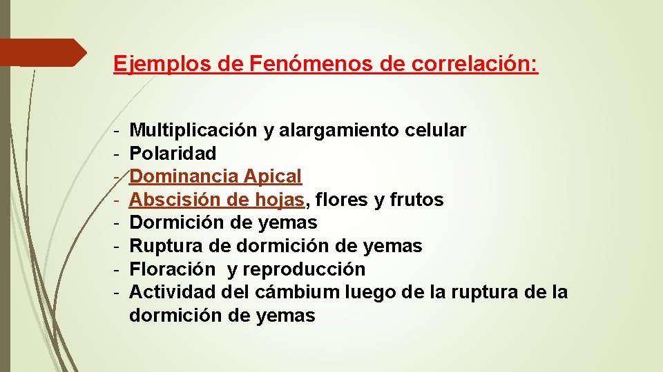 Ejemplos de Fenómenos de correlación: - Multiplicación y alargamiento celular Polaridad Dominancia Apical Abscisión