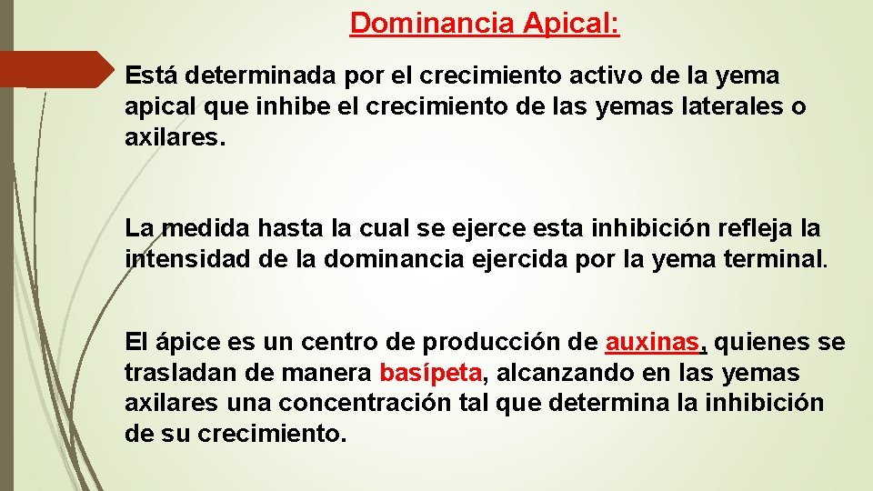 Dominancia Apical: Está determinada por el crecimiento activo de la yema apical que inhibe