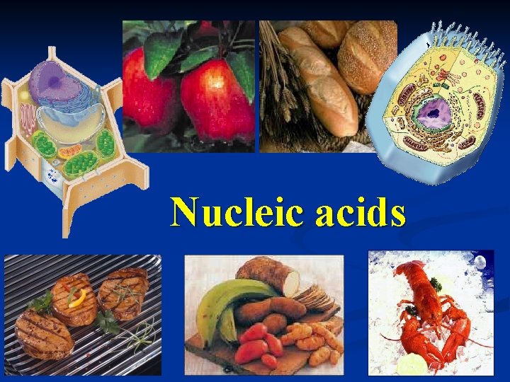 Nucleic acids 