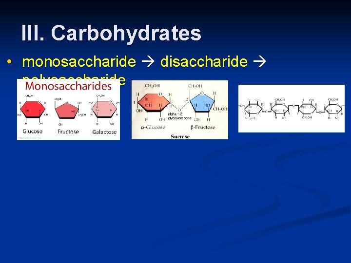 III. Carbohydrates • monosaccharide disaccharide polysaccharide 