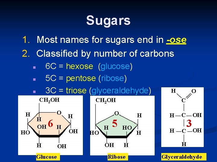 Sugars 1. Most names for sugars end in -ose 2. Classified by number of