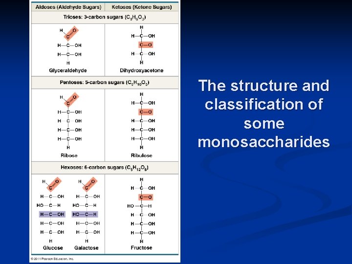 The structure and classification of some monosaccharides 
