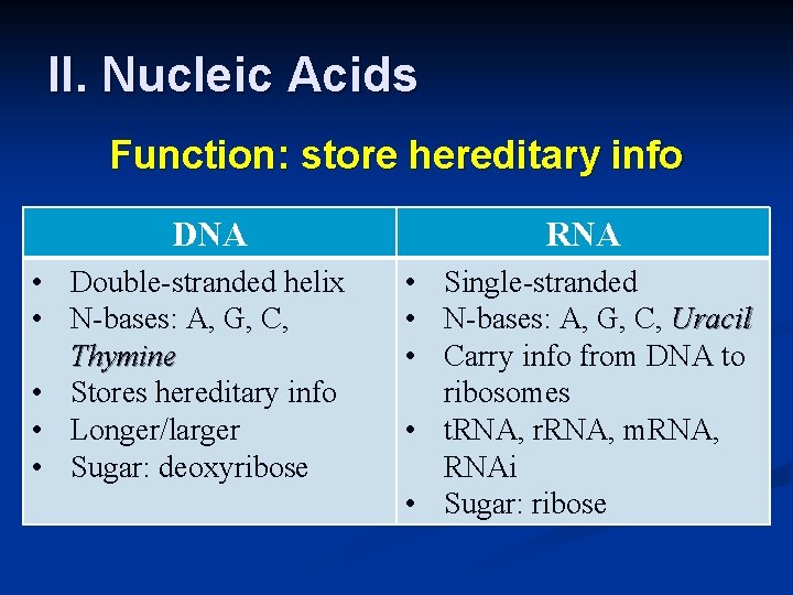II. Nucleic Acids Function: store hereditary info DNA • Double-stranded helix • N-bases: A,