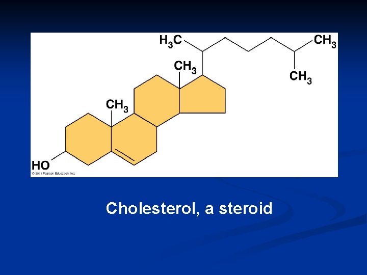 Cholesterol, a steroid 