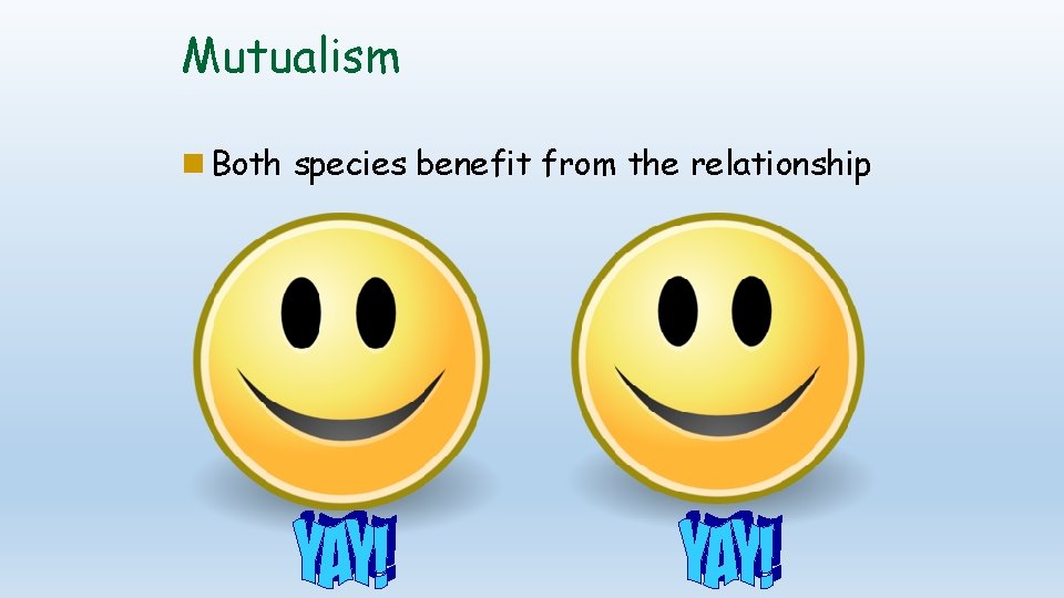 Mutualism Both species benefit from the relationship 