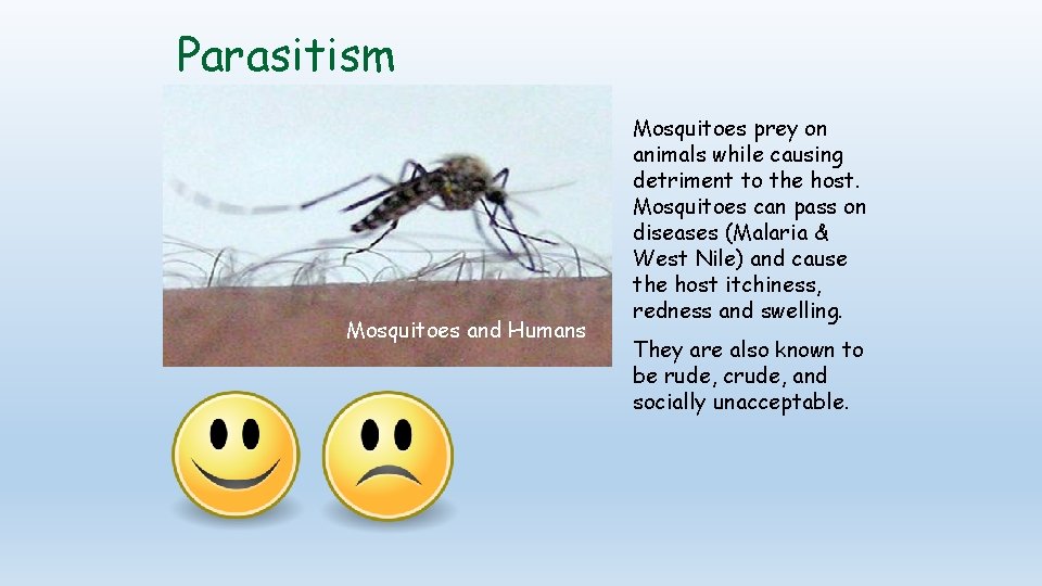 Parasitism Mosquitoes and Humans Mosquitoes prey on animals while causing detriment to the host.