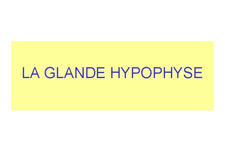 LA GLANDE HYPOPHYSE LA GLANDE HYPOPHYSE