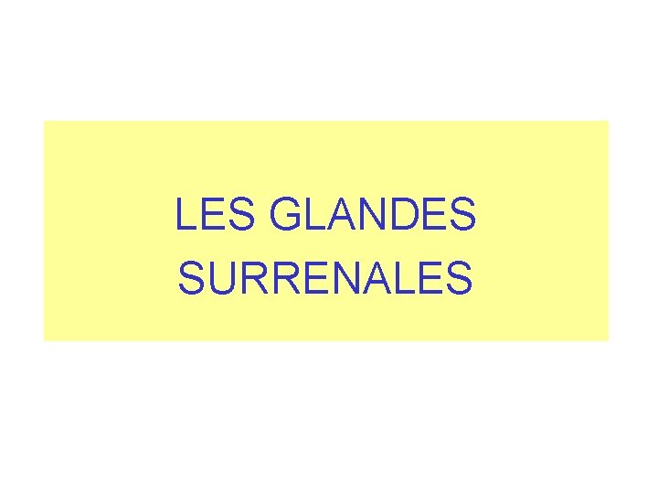 LES GLANDES SURRENALES LES GLANDES SURRENALES