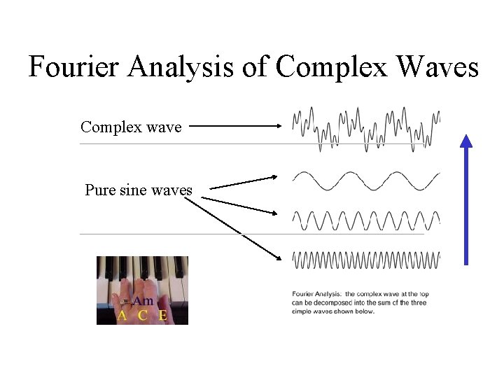 Fourier Analysis of Complex Waves Complex wave Pure sine waves 