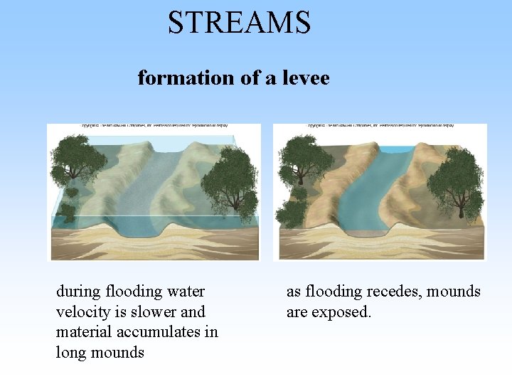 STREAMS formation of a levee during flooding water velocity is slower and material accumulates STREAMS formation of a levee during flooding water velocity is slower and material accumulates