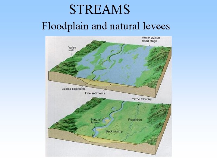 STREAMS Floodplain and natural levees STREAMS Floodplain and natural levees