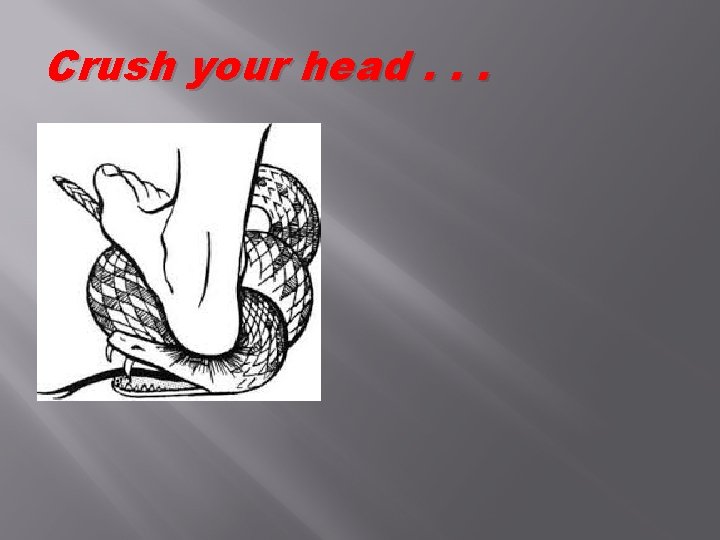 Crush your head. . . 