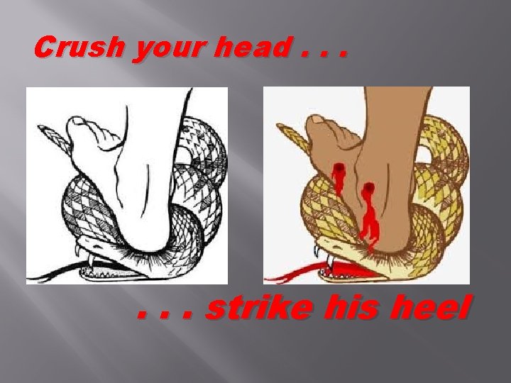 Crush your head. . . strike his heel 