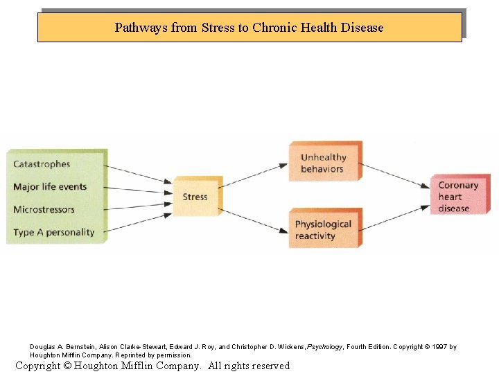 Pathways from Stress to Chronic Health Disease Douglas A. Bernstein, Alison Clarke-Stewart, Edward J.