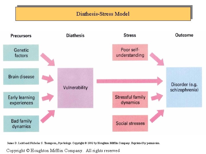 Diathesis-Stress Model James D. Laird and Nicholas S. Thompson, Psychology. Copyright © 1992 by