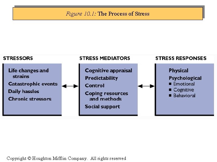 Figure 10. 1: The Process of Stress Copyright © Houghton Mifflin Company. All rights