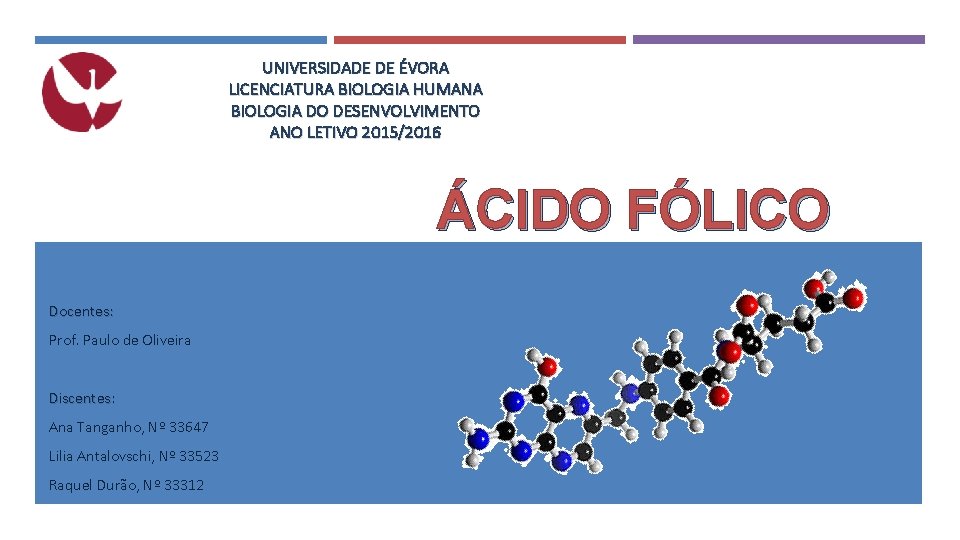 UNIVERSIDADE DE ÉVORA LICENCIATURA BIOLOGIA HUMANA BIOLOGIA DO DESENVOLVIMENTO ANO LETIVO 2015/2016 ÁCIDO FÓLICO