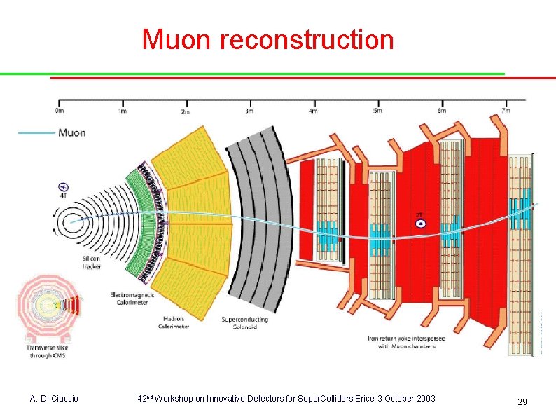 Muon reconstruction A. Di Ciaccio 42 nd Workshop on Innovative Detectors for Super. Colliders-Erice-3