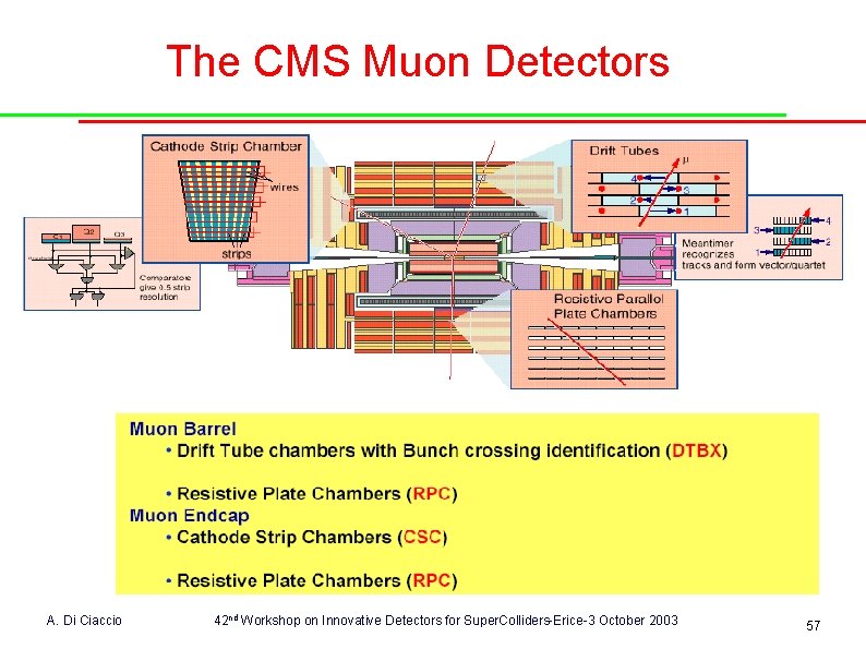 The CMS Muon Detectors A. Di Ciaccio 42 nd Workshop on Innovative Detectors for