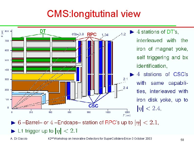 CMS: longitutinal view A. Di Ciaccio 42 nd Workshop on Innovative Detectors for Super.