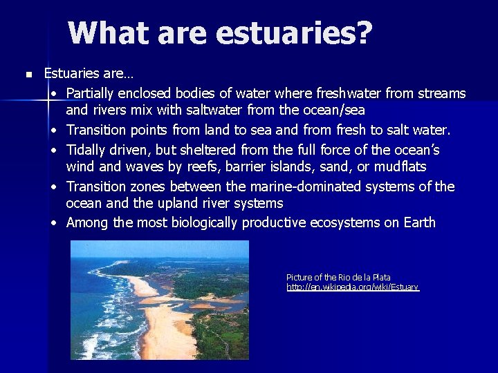 What are estuaries? n Estuaries are… • Partially enclosed bodies of water where freshwater