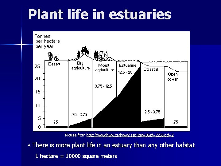 Plant life in estuaries Picture from http: //www. hww. ca/hww 2. asp? pid=0&id=226&cid=2 •