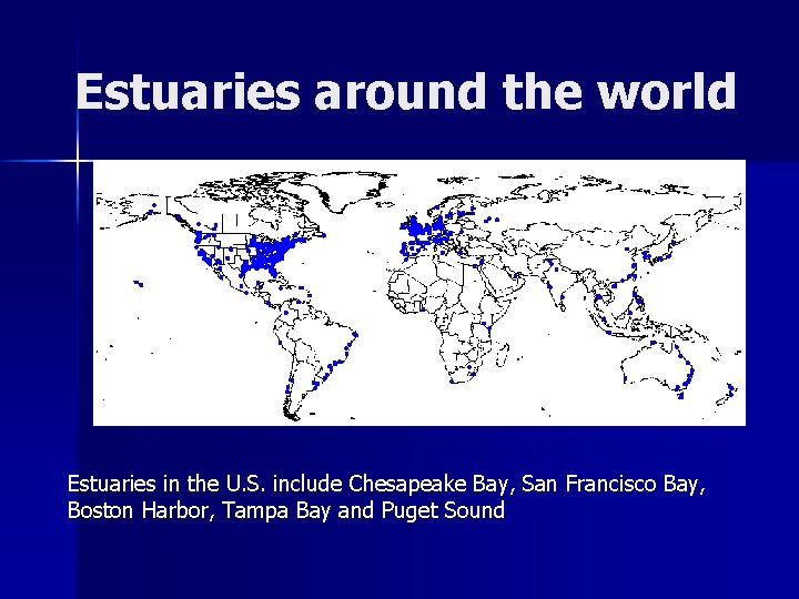 Estuaries around the world Estuaries in the U. S. include Chesapeake Bay, San Francisco