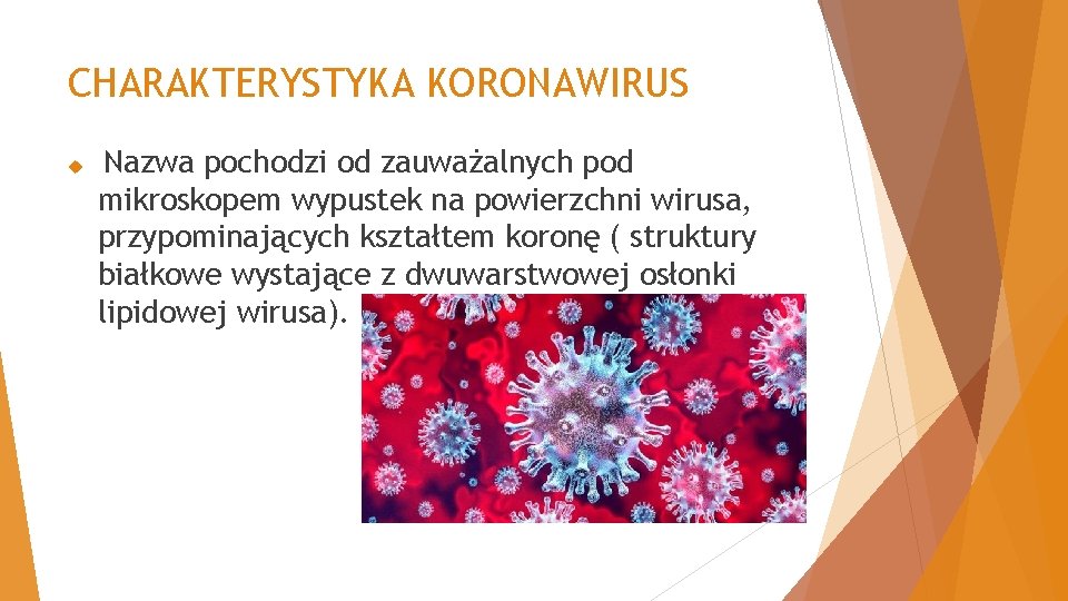 CHARAKTERYSTYKA KORONAWIRUS Nazwa pochodzi od zauważalnych pod mikroskopem wypustek na powierzchni wirusa, przypominających kształtem
