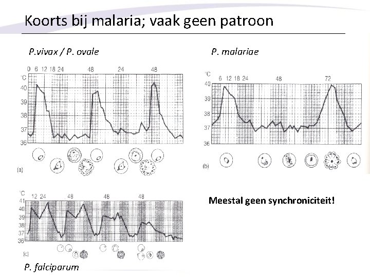 Koorts bij malaria; vaak geen patroon P. vivax / P. ovale P. malariae Meestal