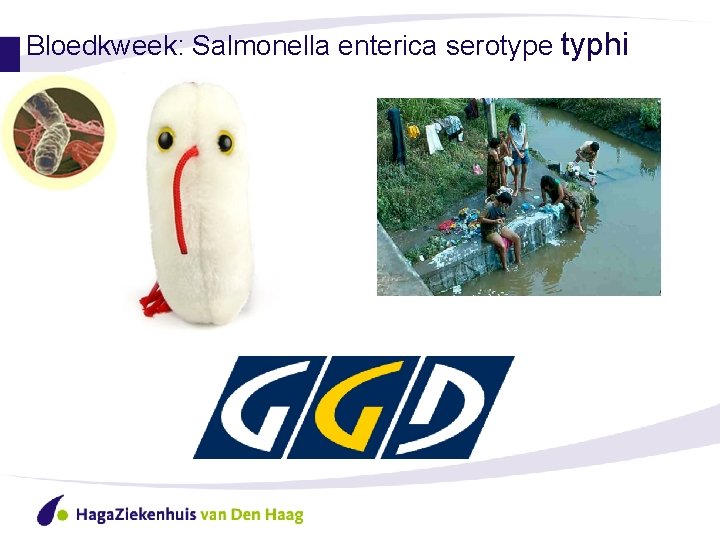 Bloedkweek: Salmonella enterica serotype typhi 