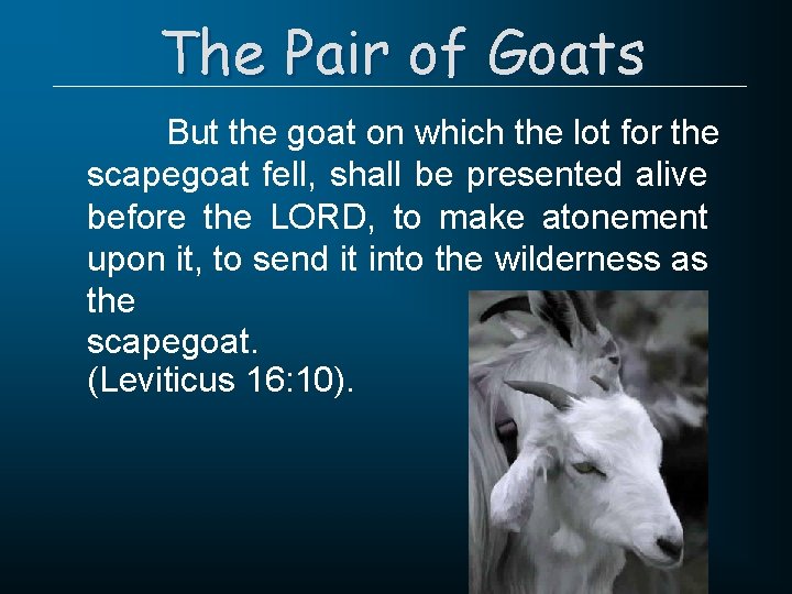 The Pair of Goats But the goat on which the lot for the scapegoat