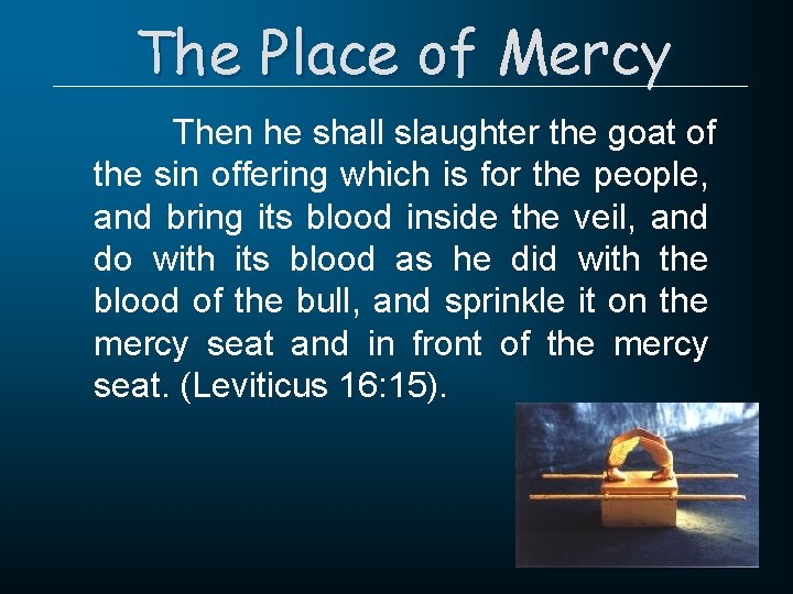 The Place of Mercy Then he shall slaughter the goat of the sin offering