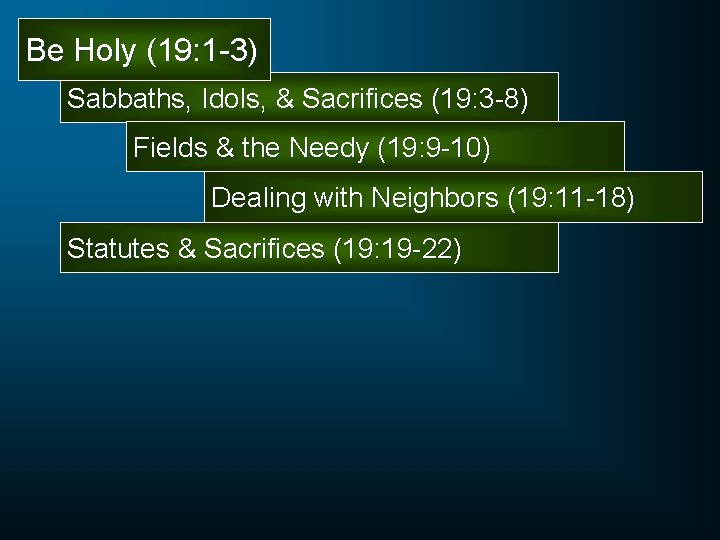 Be Holy (19: 1 -3) Sabbaths, Idols, & Sacrifices (19: 3 -8) Fields &