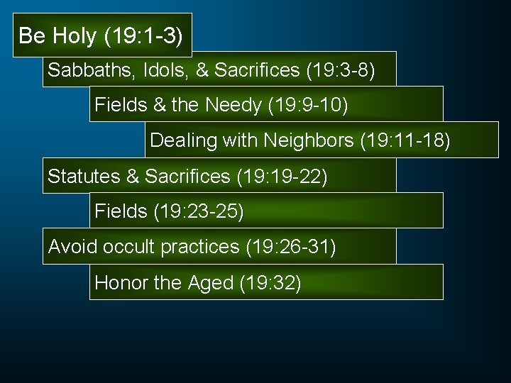 Be Holy (19: 1 -3) Sabbaths, Idols, & Sacrifices (19: 3 -8) Fields &