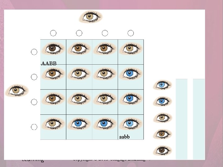 AABB aabb Copyright © 2015 Cengage Learning®. 