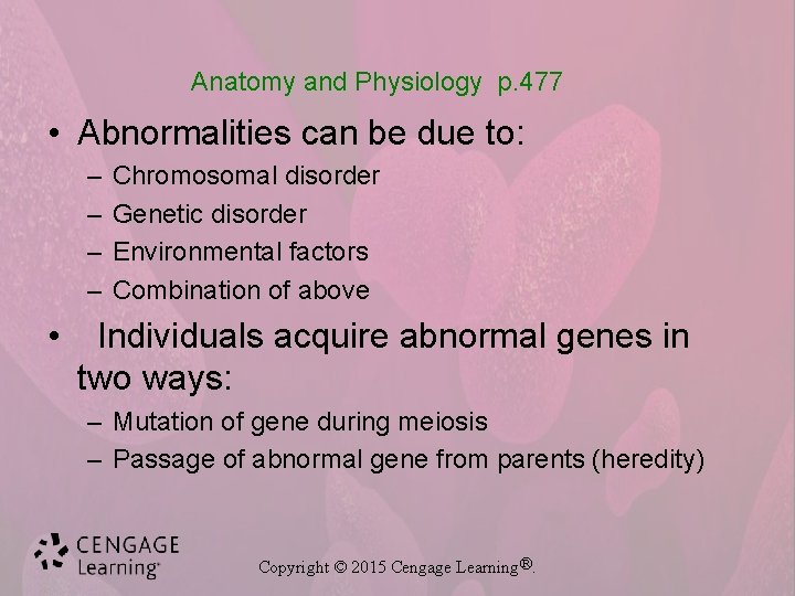 Anatomy and Physiology p. 477 • Abnormalities can be due to: – – •