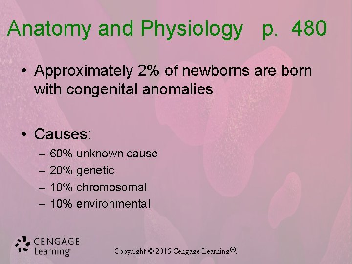 Anatomy and Physiology p. 480 • Approximately 2% of newborns are born with congenital