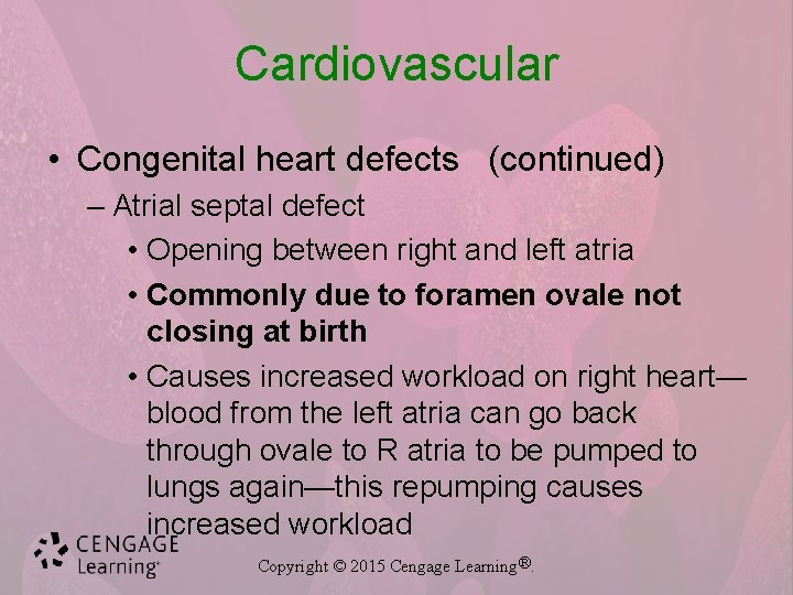 Cardiovascular • Congenital heart defects (continued) – Atrial septal defect • Opening between right