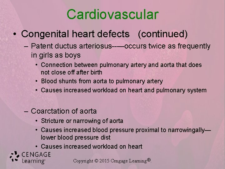 Cardiovascular • Congenital heart defects (continued) – Patent ductus arteriosus--—occurs twice as frequently in