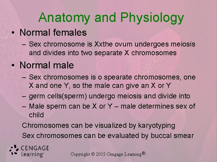Anatomy and Physiology • Normal females – Sex chromosome is Xxthe ovum undergoes meiosis