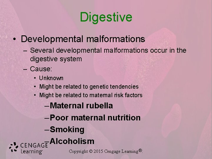 Digestive • Developmental malformations – Several developmental malformations occur in the digestive system –