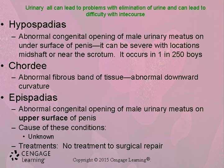 Urinary all can lead to problems with elimination of urine and can lead to