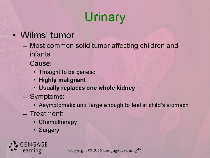 Urinary • Wilms’ tumor – Most common solid tumor affecting children and infants –