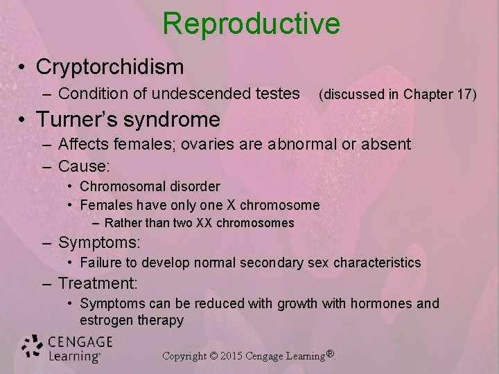 Reproductive • Cryptorchidism – Condition of undescended testes (discussed in Chapter 17) • Turner’s