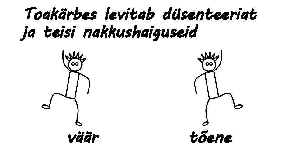 Toakärbes levitab düsenteeriat ja teisi nakkushaiguseid väär tõene 