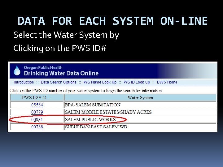 DATA FOR EACH SYSTEM ON-LINE Select the Water System by Clicking on the PWS DATA FOR EACH SYSTEM ON-LINE Select the Water System by Clicking on the PWS